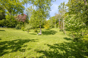 Photo 24- click for photo gallery